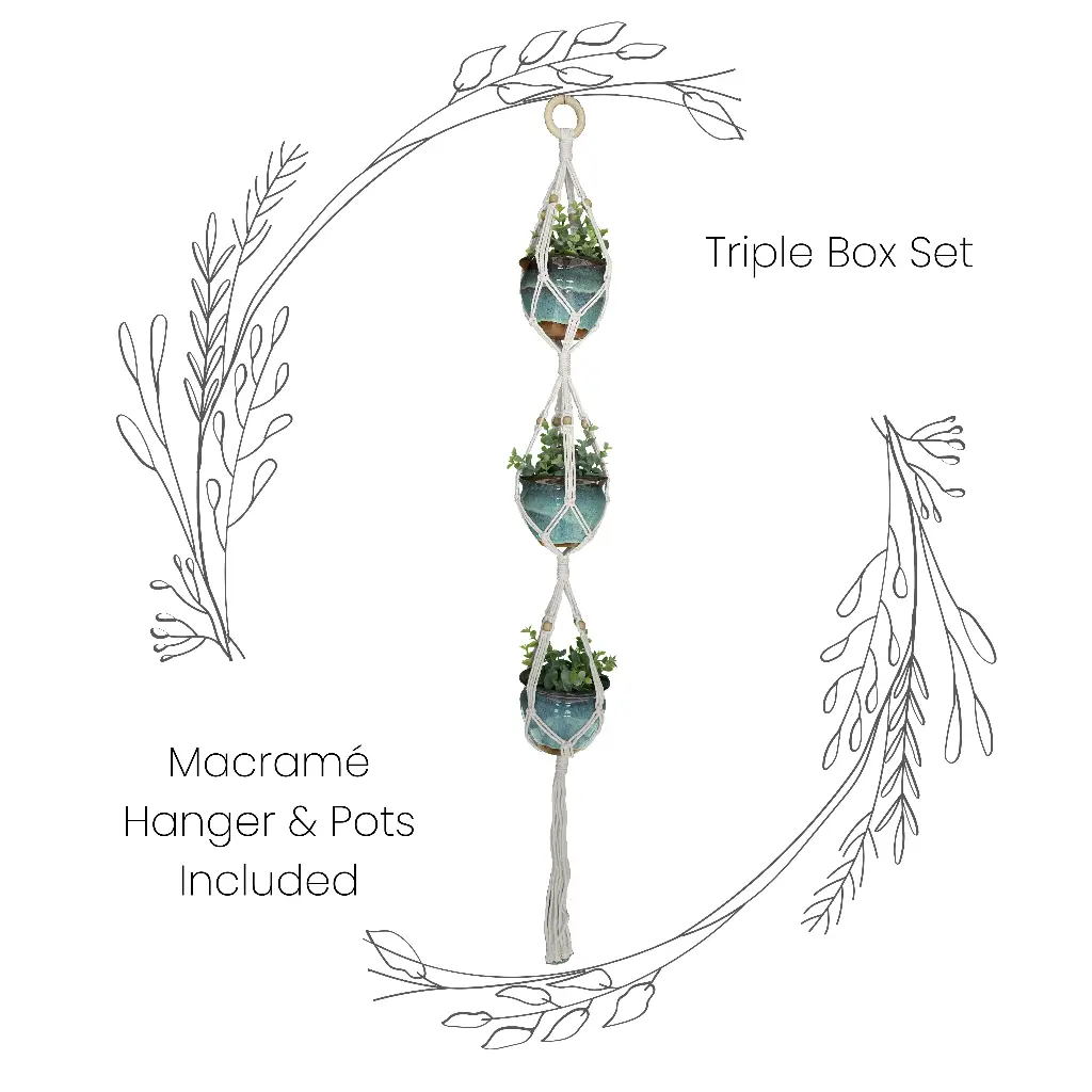 Box Set: Triple Macramé Plant Hanger & 3 Ceramic Pots MSRP $48.99