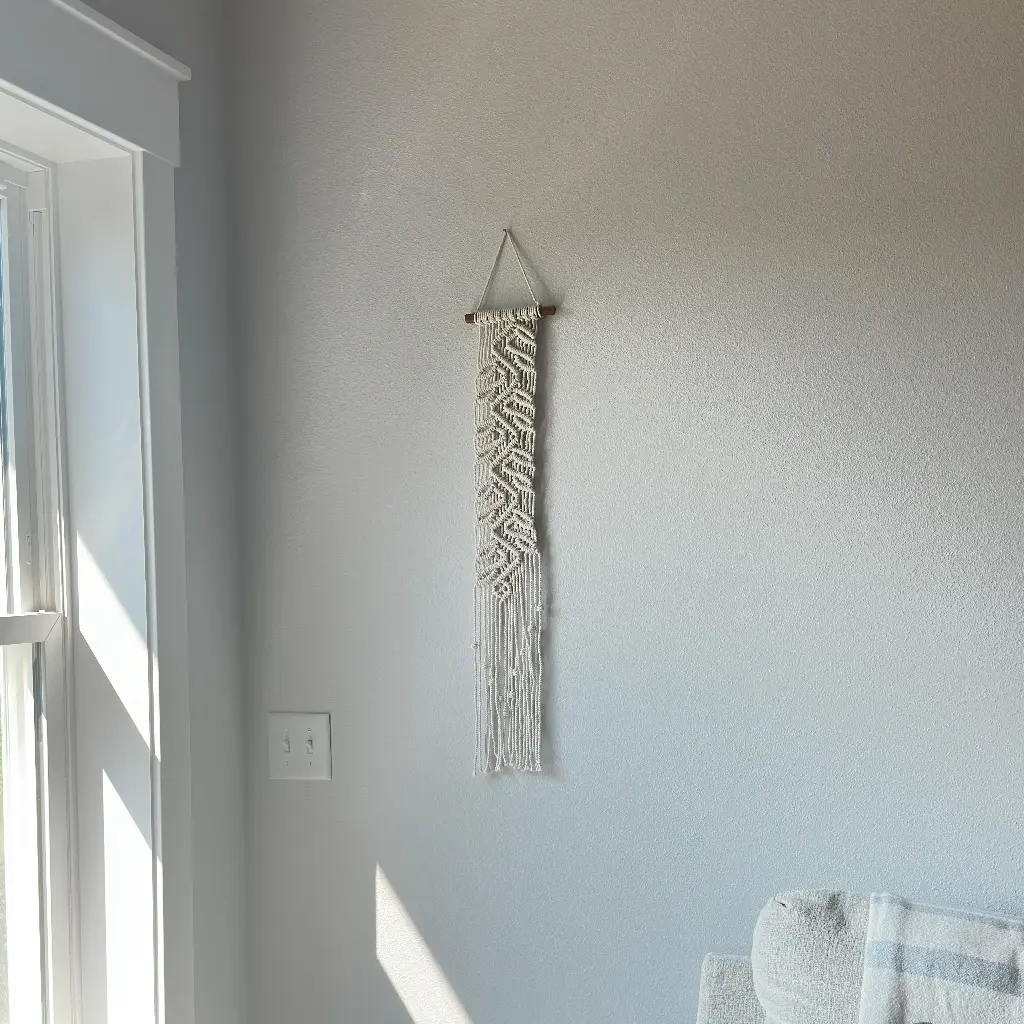 Vine Panel Macramé Wall Hanging MSRP $16.99