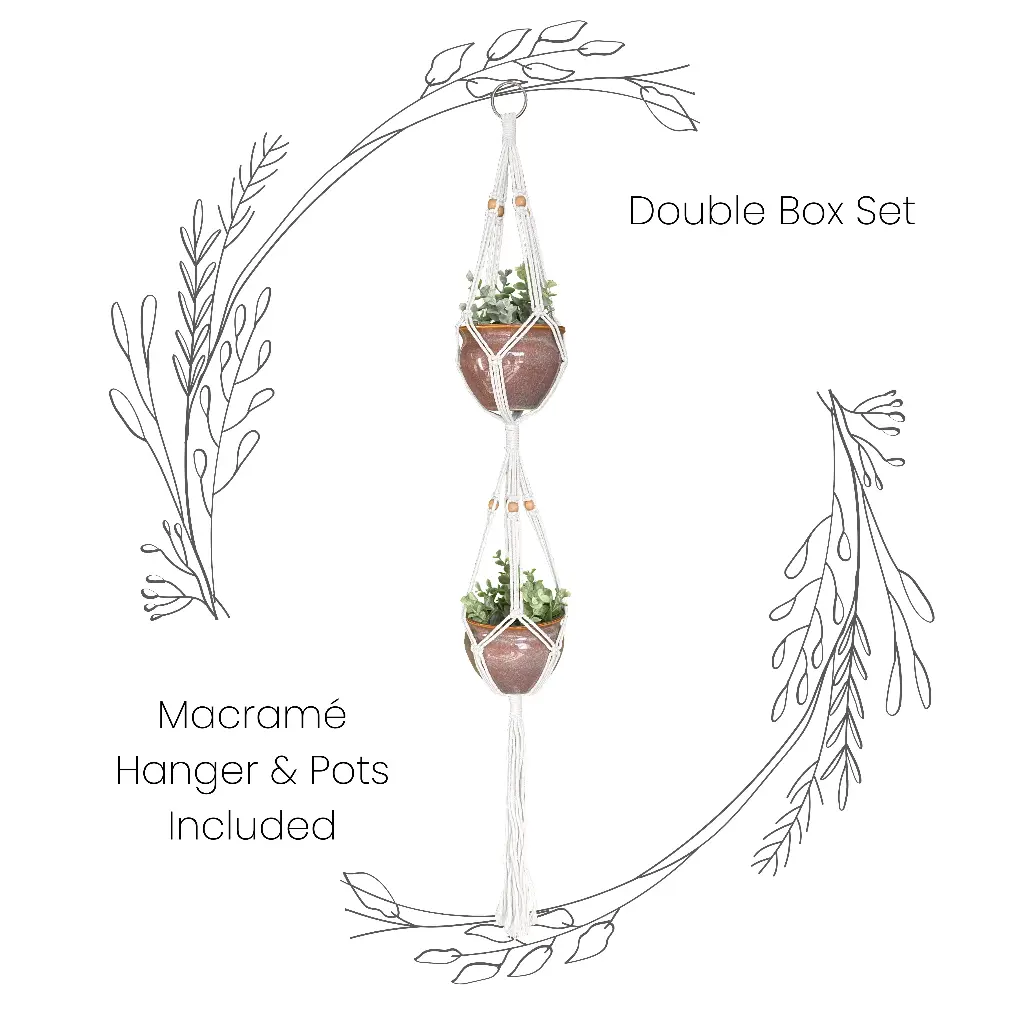 Box Set: Double Macramé Plant Hanger & 2 Ceramic Pots MSRP $32.99