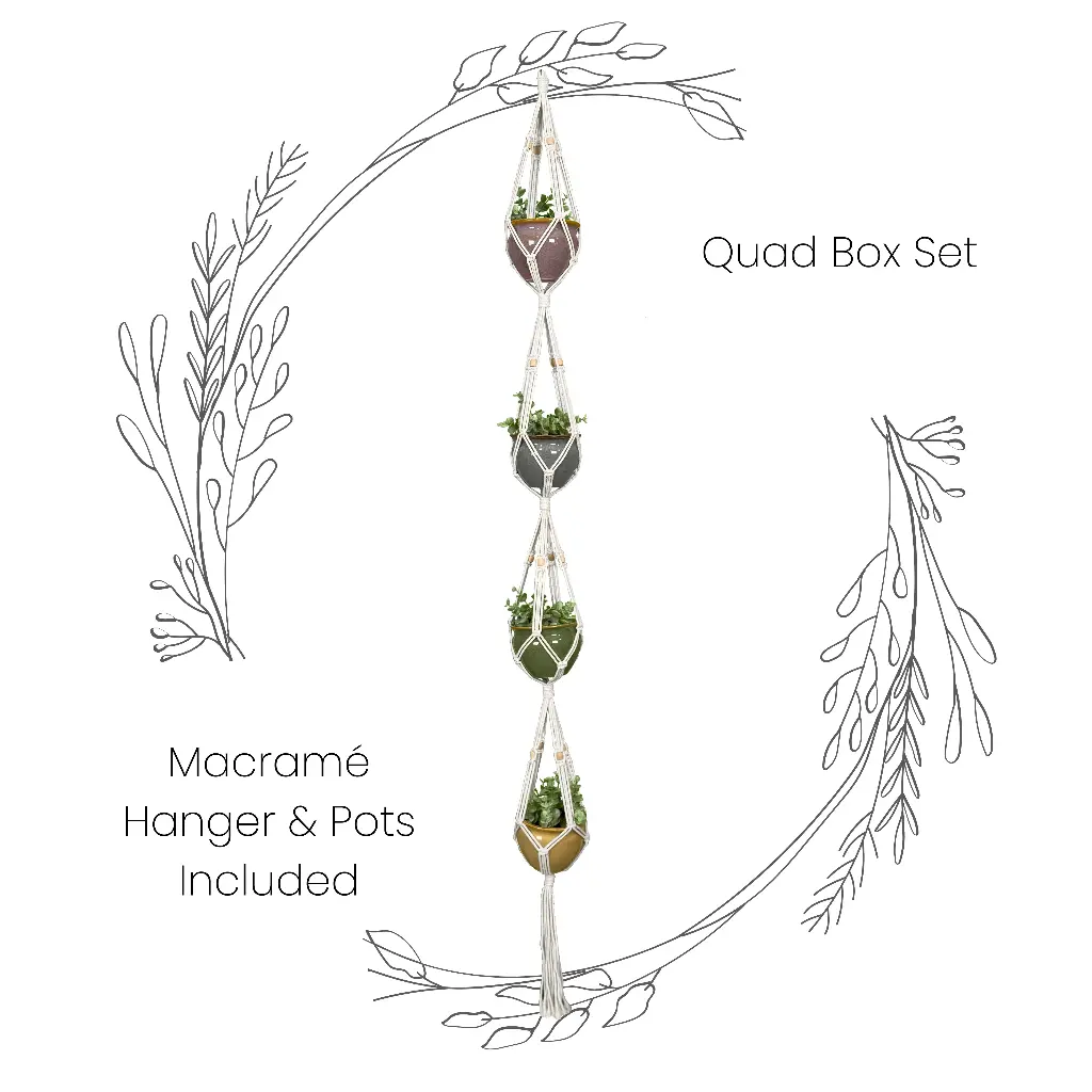Box Set: Quad Macramé Plant Hanger & 4 Ceramic Pot MSRP: $58.99