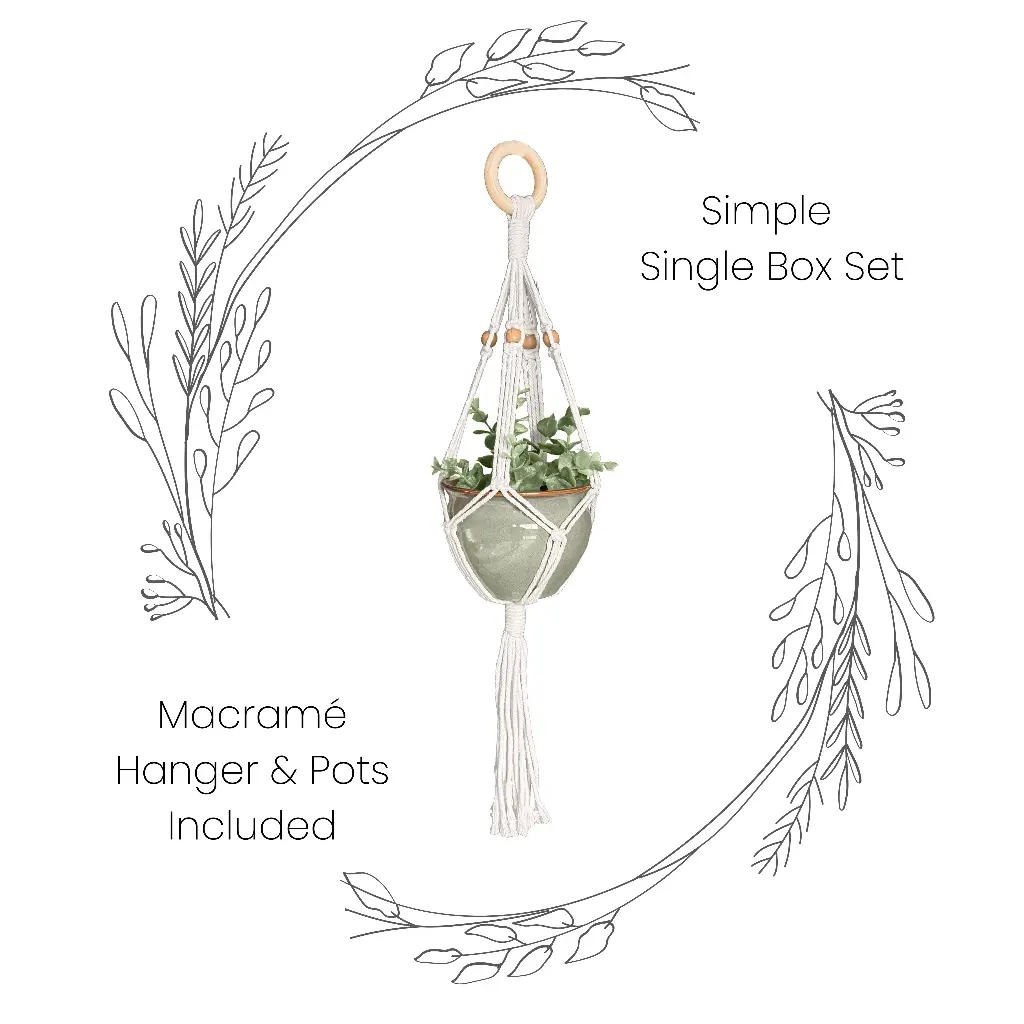 Box Set: Simple Single Macramé Plant Hanger & Ceramic Pot MSRP $21.99
