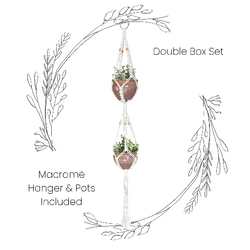Box Set: Double Macramé Plant Hanger & 2 Ceramic Pots MSRP $32.99