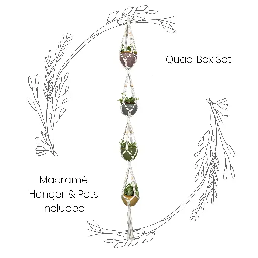 [PQ-015-RNB-04] Box Set: Quad Macramé Plant Hanger & 4 Ceramic Pot MSRP: $58.99