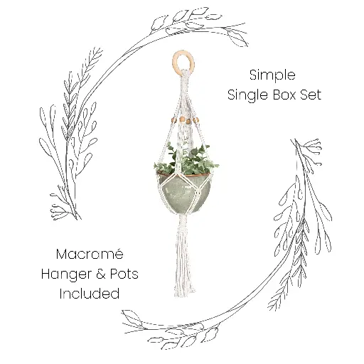 Box Set: Simple Single Macramé Plant Hanger & Ceramic Pot MSRP $21.99