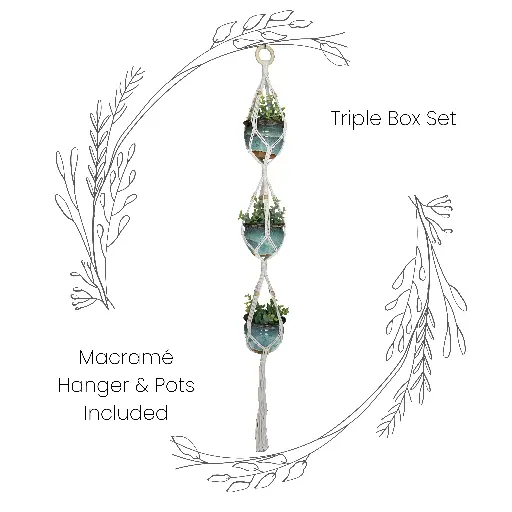 [PT-014-VAR-03] Box Set: Triple Macramé Plant Hanger & 3 Ceramic Pots MSRP $48.99